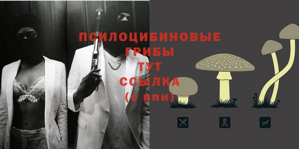 ALPHA-PVP Арсеньев
