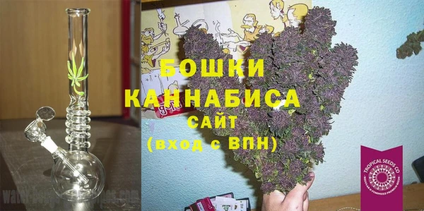 ПСИЛОЦИБИНОВЫЕ ГРИБЫ Алексеевка