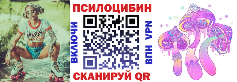 KRAKEN   Крым  Галлюциногенные грибы Psilocybine cubensis  цена  